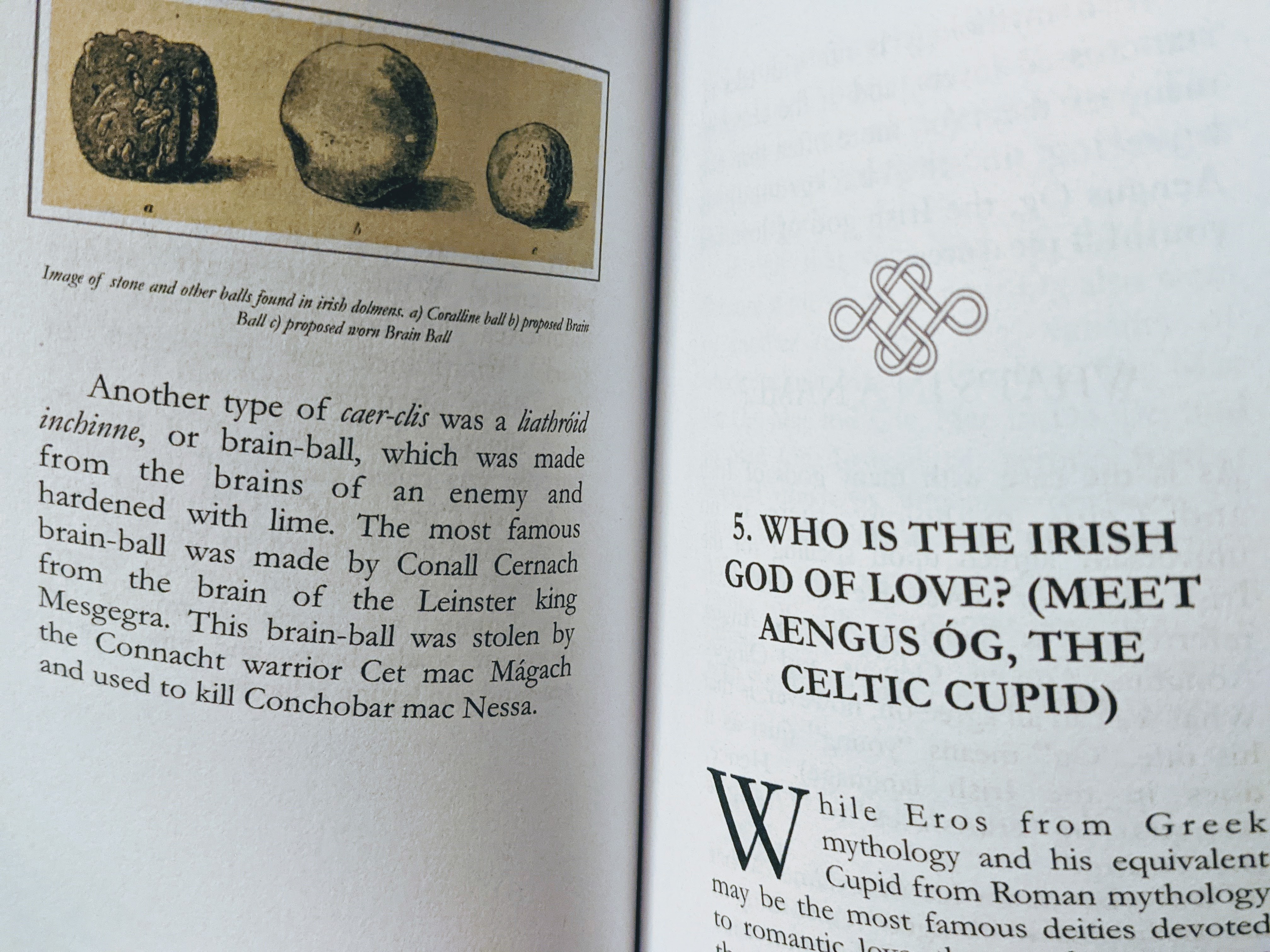 photo of interior of Irish Myths in Your Pocket