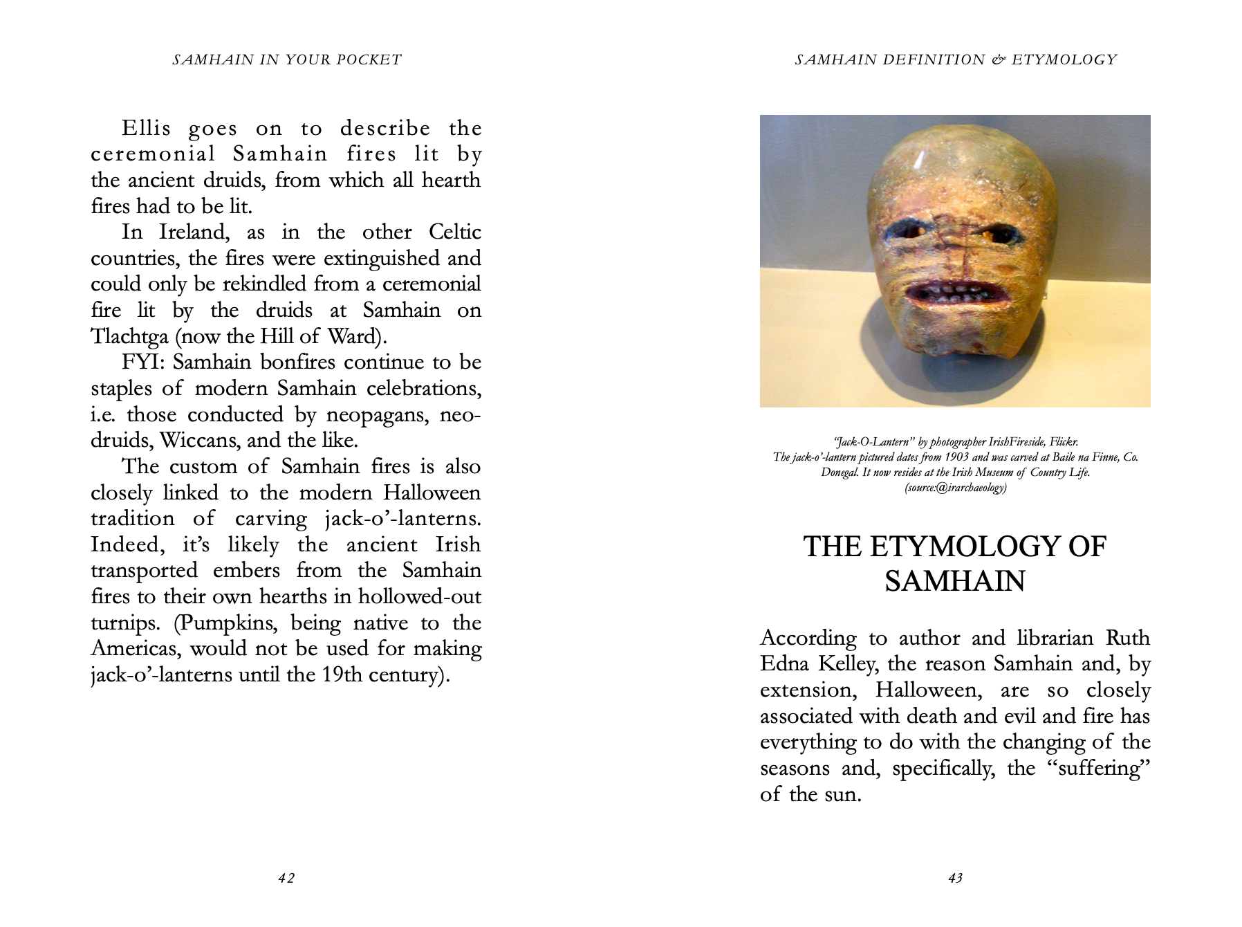 picture of carved turnip jack o lantern inside the paperback version of samhain in your pocket